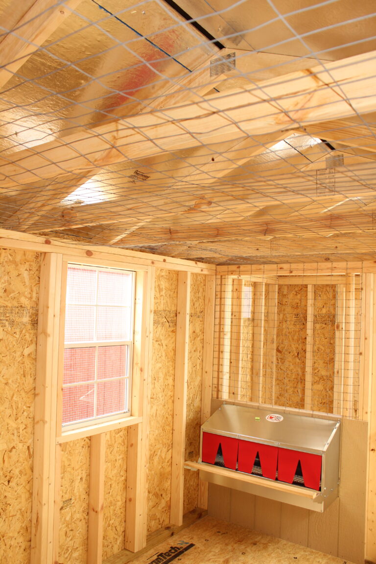 IMG_3201 8x16 Chicken Coop Deluxe