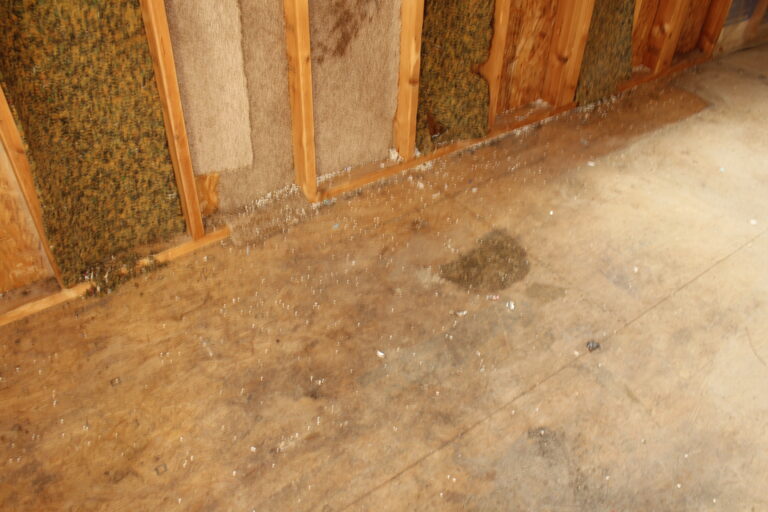 12x28 Cabin - Used
