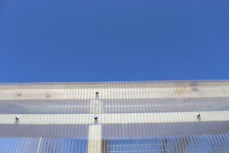 IMG_3677 8x12 Greenhouse