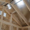 IMG_4244 8x16 Dog Kennel