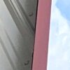 page-037 10x16 Value Shed