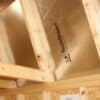 10x20 Express - High Barn - Wynne