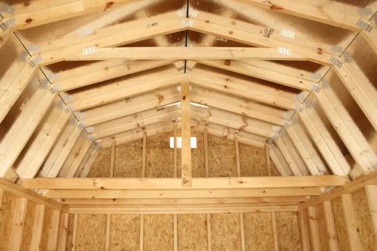 10x20 Barn Cabin