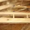 16x52 Side Cabin