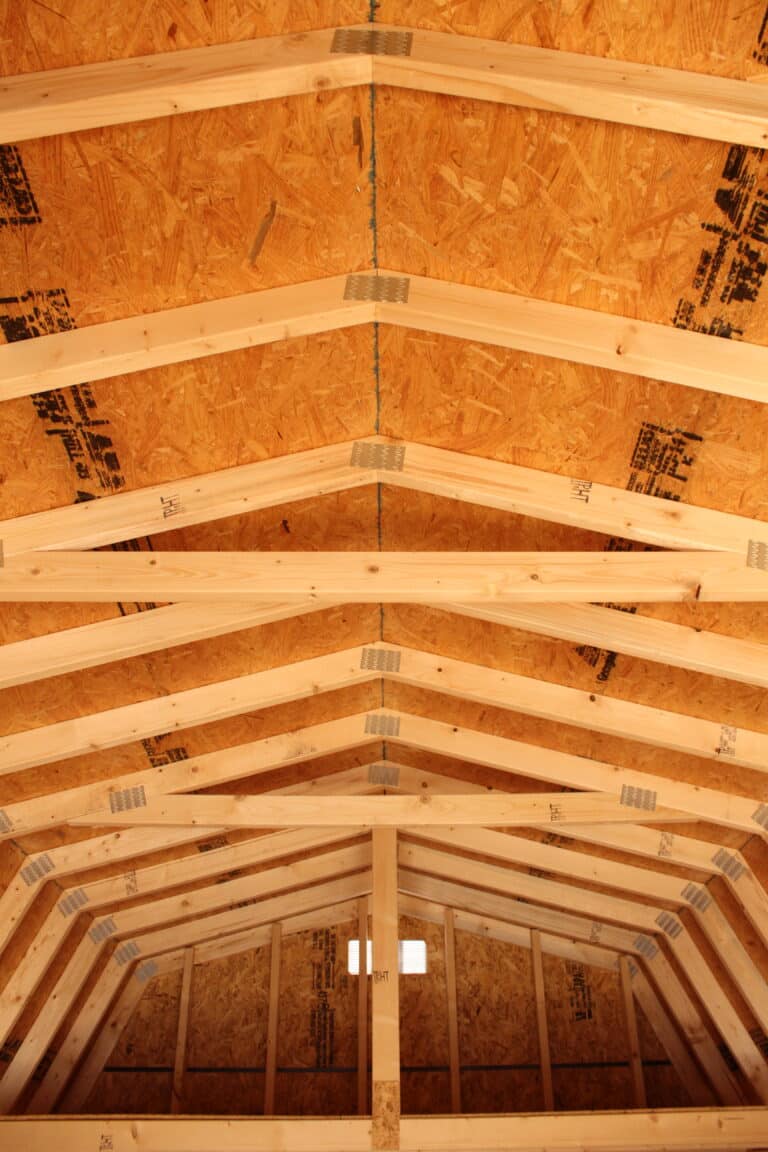 10x20 High Barn