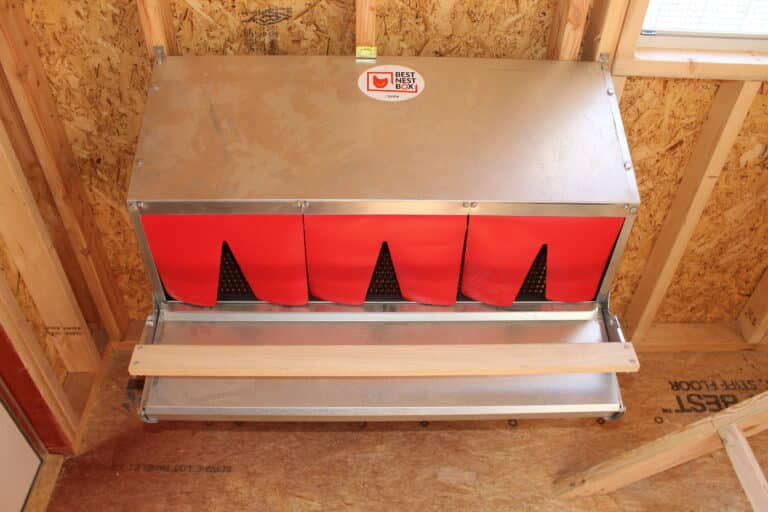 6x8 Metro Shed - Mini Coop